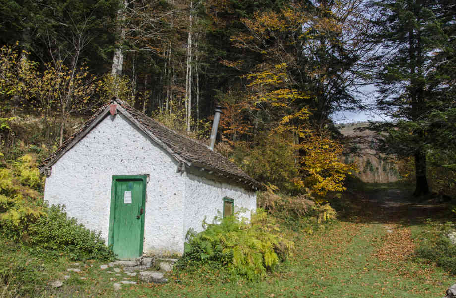 Comunidad Foral de Navarra 055 - Selva de Irati.jpg